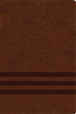 NVI Biblia de Estudio, Teología Bíblica, Leathersoft, Café con Índice, Interior a cuatro colores