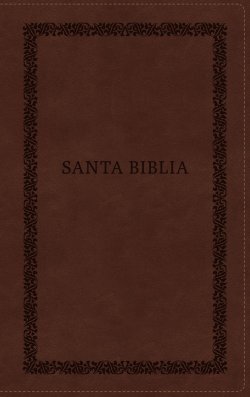 RVR60, Santa Biblia, Tierra Santa, Letra grande, Leathersoft, Café, con Cierre, Palabras de Jesús en Rojo, Comfort Print