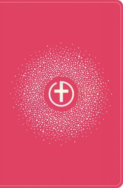 CSB One Big Story Bible, Pink LeatherTouch