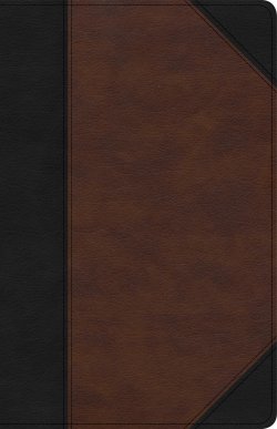 KJV Large Print Personal Size Reference Bible, Brown/Black Leathertouch Indexed
