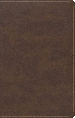 CSB Single-Column Compact Bible, Brown LeatherTouch