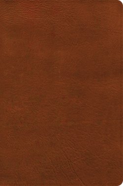 NASB Giant Print Reference Bible, Burnt Sienna LeatherTouch, Indexed