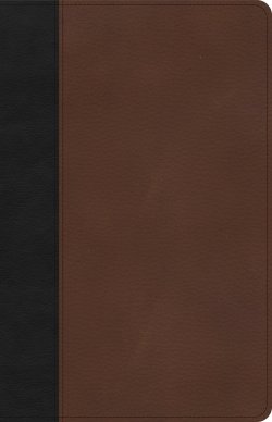 CSB Thinline Bible, Black/Brown LeatherTouch