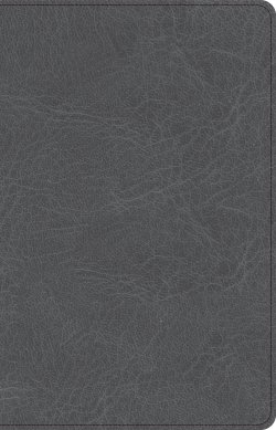 CSB Thinline Bible, Charcoal LeatherTouch