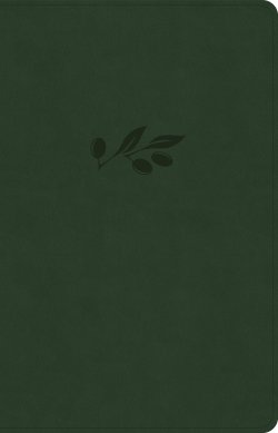CSB Thinline Reference Bible, Olive LeatherTouch