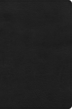 CSB Large Print Thinline Bible, Black LeatherTouch