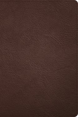 CSB Large Print Thinline Bible, Holman Handcrafted Collection, Brown Premium Goatskin