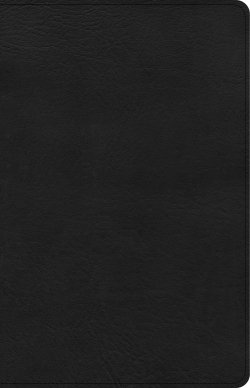 CSB Large Print Personal Size Reference Bible, Black LeatherTouch, Indexed