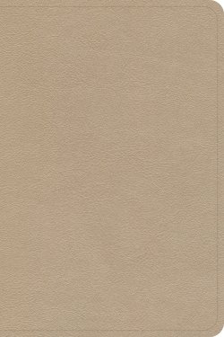 CSB Large Print Compact Reference Bible, Gold LeatherTouch
