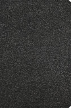 CSB Giant Print Reference Bible, Black Genuine Leather, Indexed