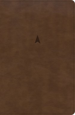 CSB Personal Size Giant Print Bible, Brown LeatherTouch, Indexed