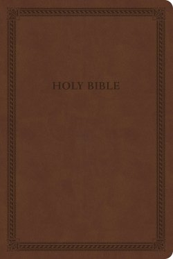 CSB Large Print Thinline Bible, Value Edition, Brown LeatherTouch