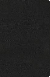CSB Everyday Study Bible, Black Bonded Leather