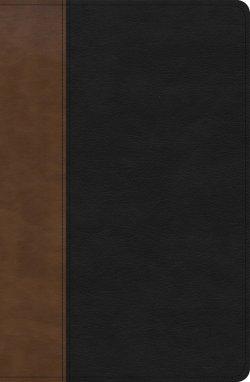 KJV Personal Size Giant Print Bible, Black/Brown LeatherTouch