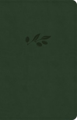 NASB Personal Size Bible, Olive LeatherTouch