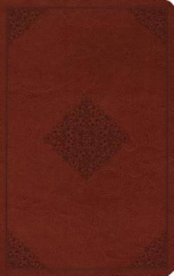 ESV Large Print Value Thinline Bible (TruTone, Tan, Ornament Design)