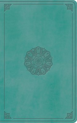 ESV Large Print Value Thinline Bible