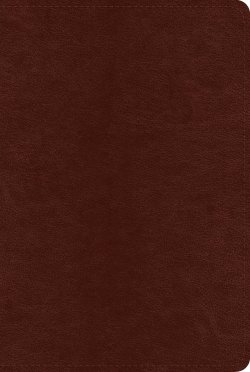 ESV Systematic Theology Study Bible