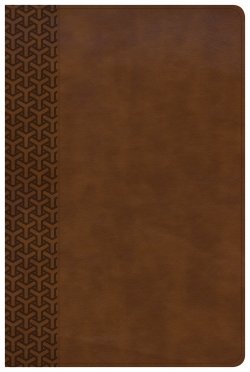 KJV Everyday Study Bible