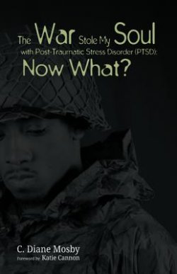The War Stole My Soul with Post-Traumatic Stress Disorder (Ptsd): What Now?