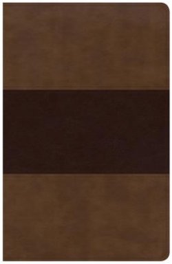 KJV Large Print Personal Size Reference Bible, Saddle Brown Leathertouch Indexed