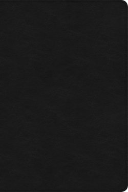 CSB Verse-by-Verse Reference Bible, Holman Handcrafted Collection, Black Premium Goatskin