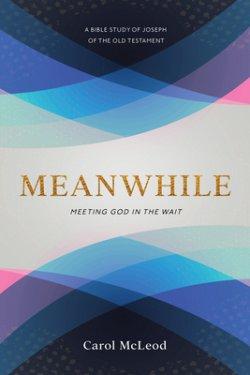 Meanwhile: Meeting God in the Wait: Meeting God in the Wait