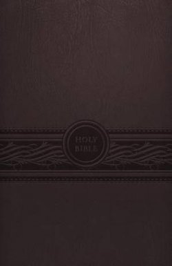 MEV Personal Size Large Print Bible