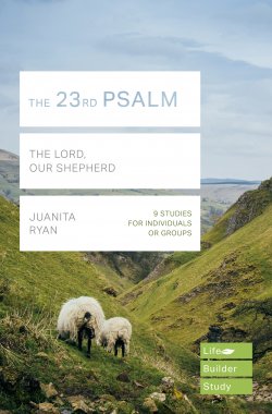 Lifebuilder Bible Study: The 23rd Psalm