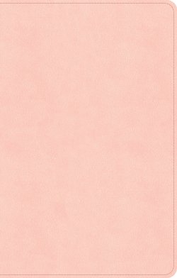 CSB Thinline Bible, Blush Pink SuedeSoft LeatherTouch