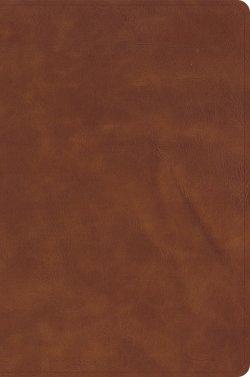 CSB Oswald Chambers Bible, Saddle LeatherTouch