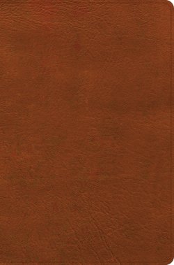 CSB Giant Print Reference Bible, Digital Study Edition, Burnt Sienna LeatherTouch