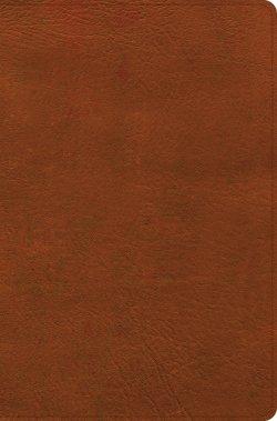 CSB Giant Print Reference Bible, Digital Study Edition, Burnt Sienna LeatherTouch, Indexed