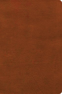 CSB Giant Print Single-Column Bible, Burnt Sienna LeatherTouch