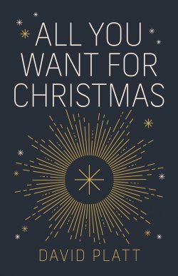 All You Want For Christmas