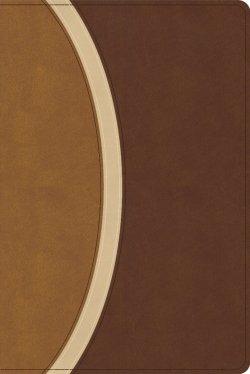 CSB Rainbow Study Bible, Brown Leathertouch