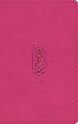 ESV Kid's Bible, Thinline, Red Letter (TruTone, Berry, The True Vine Design)