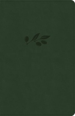 CSB Thinline Bible, Anglicised Edition, Olive Leathertouch