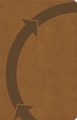 CSB Daily Disciples Bible, Brown