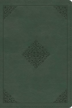ESV Study Bible, Personal Size (TruTone, Quiet Forest, Ornament Design)