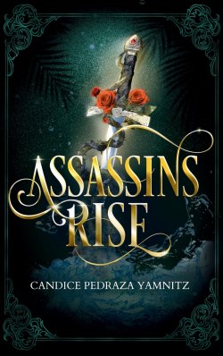 Assassins Rise