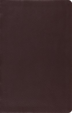 ESV Large Print Thin Reference Bible