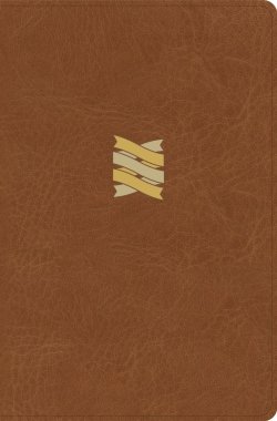CSB Connecting Scripture New Testament, Brown LeatherTouch