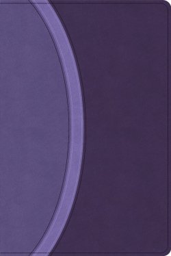 CSB Rainbow Study Bible, Purple Leathertouch