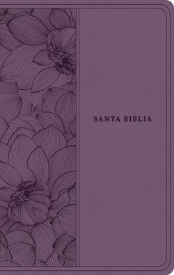Biblia valor prémium NTV con Filament (SentiPiel, Morado)