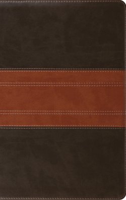 ESV Large Print Personal Size Bible, Red Letter (TruTone, Forest/Tan, Trail Design)