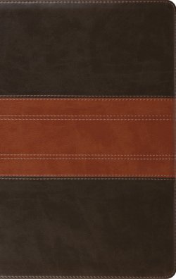 ESV Giant Print Personal Size Bible, Red Letter, Thumb Indexed (TruTone, Forest/Tan, Trail Design)