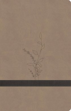 KJV Large Print Personal Size Reference Bible, Earthen Suede