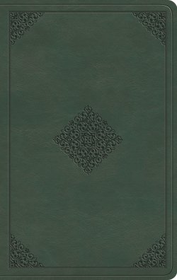 ESV Large Print Value Thinline Bible (TruTone, Quiet Forest, Ornament Design)
