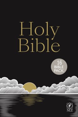 NLT Holy Bible, Black Hardback, Gold and Silver Foiled Sunset Illustration, British Text, NLT New Living Translation, Hardback, Standard size – Pack